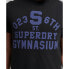Фото #2 товара SUPERDRY Vintage Athletic T-shirt
