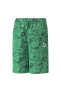 Фото #1 товара Normal Yeşil Erkek Şort 53951936-CLASSICS SUPER PUMA Shorts