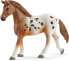 SCHLEICH 42433 Horse Club Lisas Tournament Training, for Children from 5-12 Years, Horse Club Playset & 42539 Horse Club Hannah & Cayenne, for Children from 5-12 Years, Horse Club Play Set