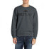 Фото #1 товара REPLAY M6963 .000.23650P sweatshirt