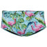 PHELPS Flamingo 14 cm Swimming Brief