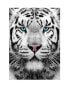 Фото #1 товара Puzzle Sibirischer Tiger 1000 Teile