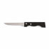 Фото #1 товара Нож для мяса Amefa Campagnard Металл Двухцветный (21,5 cm) (Pack 12x)