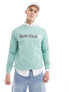 Фото #1 товара Timberland large script logo sweatshirt in light green