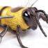 Фото #5 товара Фигурка Safari Ltd Honey Bee Figure Insects (Насекомые).
