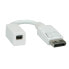 Фото #1 товара ROLINE DisplayPort Adapter, DP M - Mini DP F, 0.15 m, DisplayPort, Mini DisplayPort, Male, Female, White