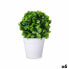 Decorative Plant Plastic (6 Units)
