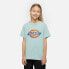 ფოტო #9 პროდუქტის DICKIES Logo short sleeve T-shirt