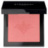 Фото #2 товара STENDHAL Blush 301 Highlighter