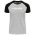 ფოტო #1 პროდუქტის HUMMEL Legacy Blocked short sleeve T-shirt