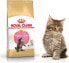 Фото #3 товара сухой корм для кошек Royal Canin, для котят породы мейн-кун