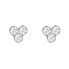 ფოტო #1 პროდუქტის ROSEFIELD JTSTCS Earrings