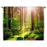 Фото #1 товара Fertiggardine Wald IX (2er-Set)