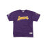 Фото #1 товара Mitchell & Ness TCRW3237LALYYPPPPURP