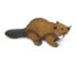 SAFARI LTD Beaver Figure