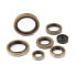 Фото #2 товара S3 PARTS VE-G822976 top end gasket kit