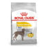 Фото #2 товара ROYAL CANIN CCN Dermacomfort Maxi 12kg Dog Food