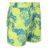 Фото #4 товара REGATTA Skander II Swimming Shorts