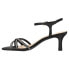 Nina Bobby Rhinestone Ankle Strap Womens Black Casual Sandals BOBBY-LS-BLKLUS
