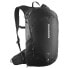 Фото #1 товара SALOMON Trailblazer 20L backpack