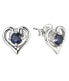 Фото #1 товара Gentle silver earrings with sapphires ME05096B