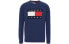 Tommy Hilfiger FW22 Logo DM0DM15061C87 Sweater