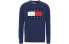 Свитер Tommy Hilfiger FW22 Logo DM0DM15061C87