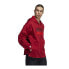 Фото #2 товара Adidas DM Inno Hoody