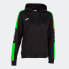 Фото #1 товара Joma Championship IV Hoodie W 901334.117