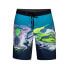 Фото #1 товара [AV8246-422] Mens Hurley Phantom Voodoo 20" Boardshort