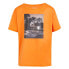 ფოტო #4 პროდუქტის REGATTA Alvarado VIII short sleeve T-shirt