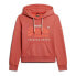 Фото #1 товара SUPERDRY Puff Print Vl Graphic hoodie