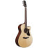 Фото #3 товара Ibanez AAM300CE-NT