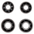 CERAMICSPEED Lightweight-5 Coated Hub Bearings