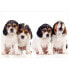 Фото #1 товара Vlies Fototapete Sad Puppies