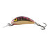 Фото #14 товара SALMO Hornet Floating crankbait 3g 40 mm