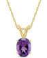 ფოტო #1 პროდუქტის Amethyst Pendant Necklace (1-1/5 ct.t.w) in 14K Yellow Gold