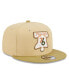 Men's Khaki, Tan Philadelphia 76ers Green Collection 9FIFTY Snapback Hat