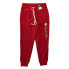 Champion Women's NCAA Soft Fleece Lined Jogger Pant (Alabama Crimson Tide, S)