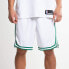 Nike NBA SW AJ5586-100 Pants