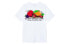 Stussy Fresh Fruit T-Shirt 1904542