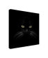 Фото #2 товара Lori Hutchison 'Black Cat Centered' Canvas Art - 24" x 24"