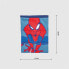 ფოტო #3 პროდუქტის CERDA GROUP Spiderman Crossbody
