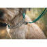 Фото #4 товара Ошейник RUFFWEAR Chain Reaction™ для собак