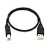 Фото #1 товара V7 Black USB Cable USB 2.0 A Male to USB 2.0 B Male 0.5m 1.6ft - 0.5 m - USB A - USB B - USB 1.0 - 480 Mbit/s - Black