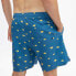 Фото #4 товара HYDROPONIC 16´ Dragon Ball Z Kintoun Swimming Shorts