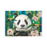 Фото #1 товара Puzzle 2 Panda Paradies