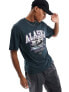 Фото #1 товара Jack & Jones relaxed fit t-shirt with Alaska print in dark green