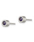 ფოტო #3 პროდუქტის Stainless Steel Polished Blue CZ September Stud Earrings