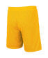 ფოტო #4 პროდუქტის Men's Cardinal, Gold USC Trojans Wiggum Reversible Wordmark Shorts
